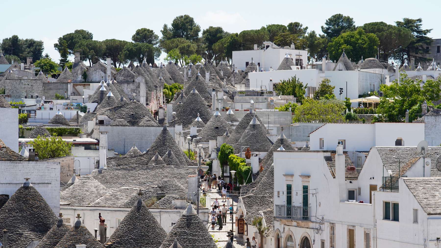Wide view over Alberobello rooftops