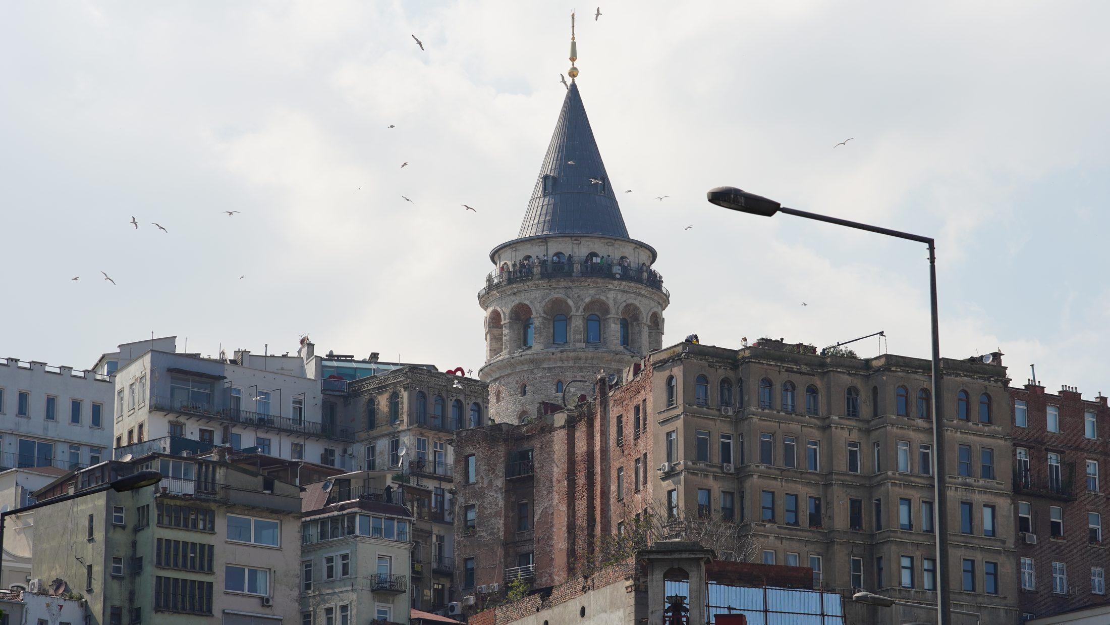Galata Tower with birds overhead